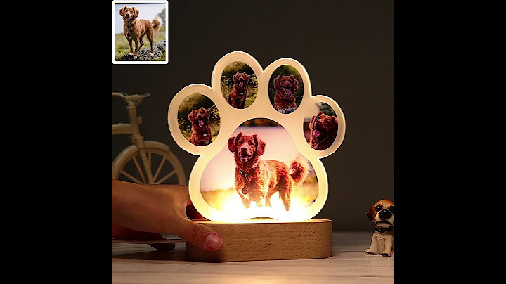 Custom dog paw acrylic lamp
