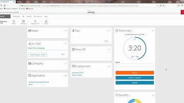 Paylocity Full Site Punching