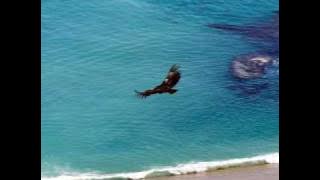 El Condor Pasa (Instrumental) very beautiful song!