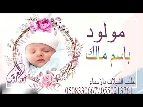 شيلة مولود باسم مالك