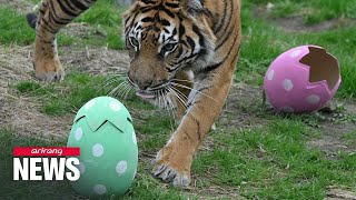 Easter egg-citement in London Zoo