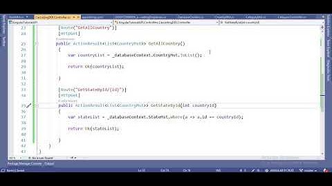 Cascading Dropdown in Angular 9 | Part 11.2