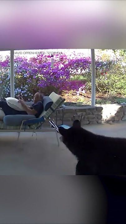 Man, bear give each other scare outside home