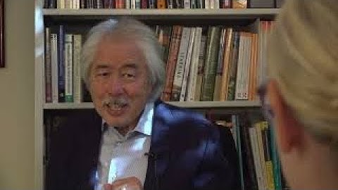 (Emotion-Centered) Problem-Solving Therapy: Overcoming Brain Overload (Video #2)