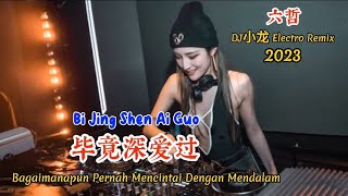 六哲 - 毕竟深爱过 - Bi Jing Shen Ai Guo - (DJ小龙 Electro Remix 2023) #dj抖音版2023