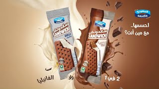 آيسكريم ساندوتش | Ice Cream Sandwich