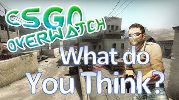 What do you Think? CS:GO OVERWATCH!