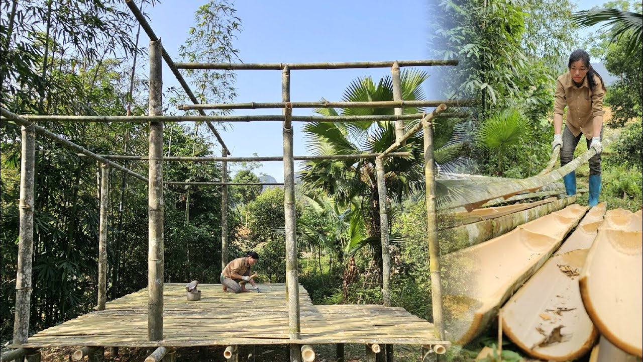 ATIMELAPSE: Girl builds two complete bamboo houses in 60 days, picks fruits and cooks,  rural life