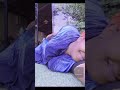 Harmalla Saluu Oromotiktok Oromo Oromomp3 Oromomusic DrNafyadGetuOfficial Risqo Harmalla Saluu Oromotiktok Oromo Oromomp3 Oromomusic DrNafyadGetuOfficial Risqo