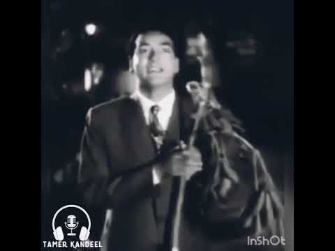 شحات الغرام محمد فوزي