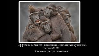 Дважды РСП или очередная аленья история Дважды РСП или очередная аленья история