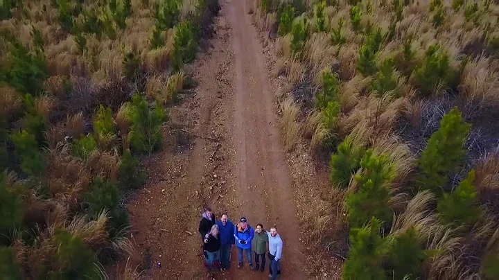 AMAZING DRONE FOOTAGE OF VIRGINIA FORREST!!!