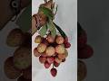 lichi..#youtubeshorts #fruit #subscribe #support #song #publice #channel #