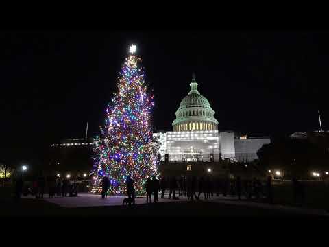 Video: Cosas que hacer en Navidad en Washington, D.C