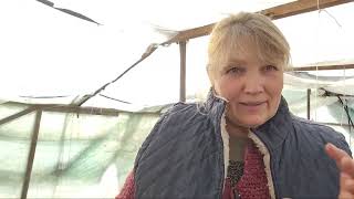 картинка:  Відповідаю на ваші питання, знову болталки