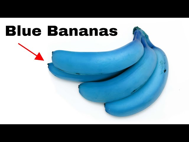 Why Are These Bananas Blue? 