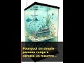 Pourquoi un simple poisson rouge a démêlé un meurtre antique?