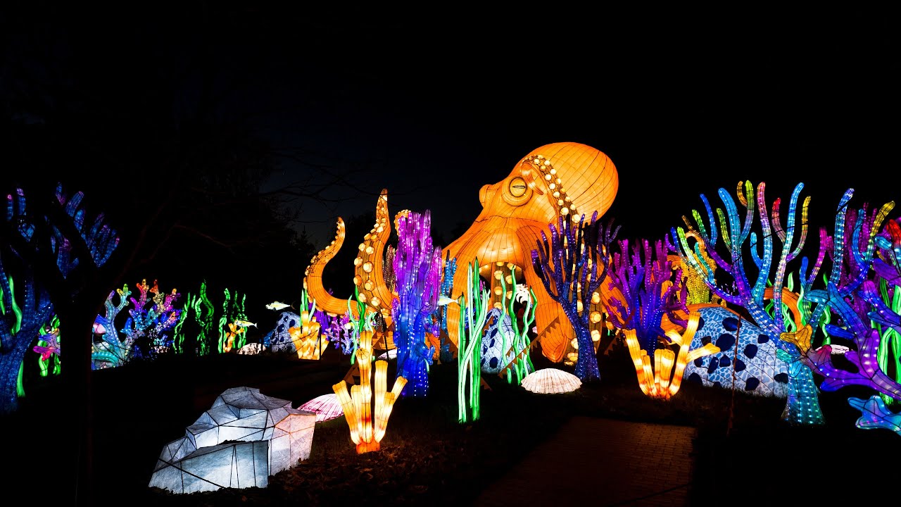 Aquarium Lantern Festival | November 7 – January 10
