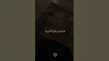 سورة مريم #اجر #قرآن #explore #exp #عبدالرحمن_مسعد #استغفرالله #quran #tiktok
