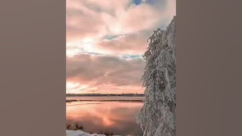 سورة فاطر بصوت خيالي د.محمد سعد