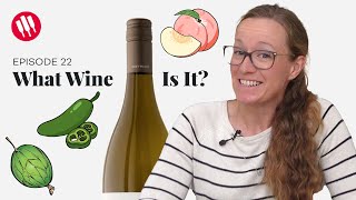 Learn by Tasting (ep. 22) Wine Folly by Wine Folly 3,857 views 5 months ago 4 minutes, 50 seconds