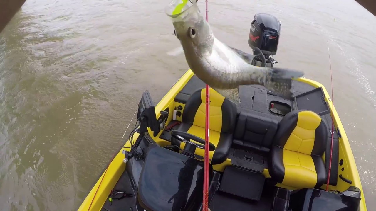 Catching shallow Summer Crappie in murky water on main lake points. 2018