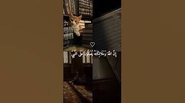 ان الله وملائكته يصلون على النبي. قران كريم ارح قلبك وسمعك#قران #قران_كريم #quran_alkarim #quran