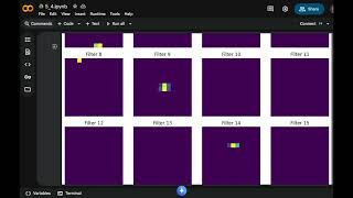 5.4 Visualizing what convnets learn