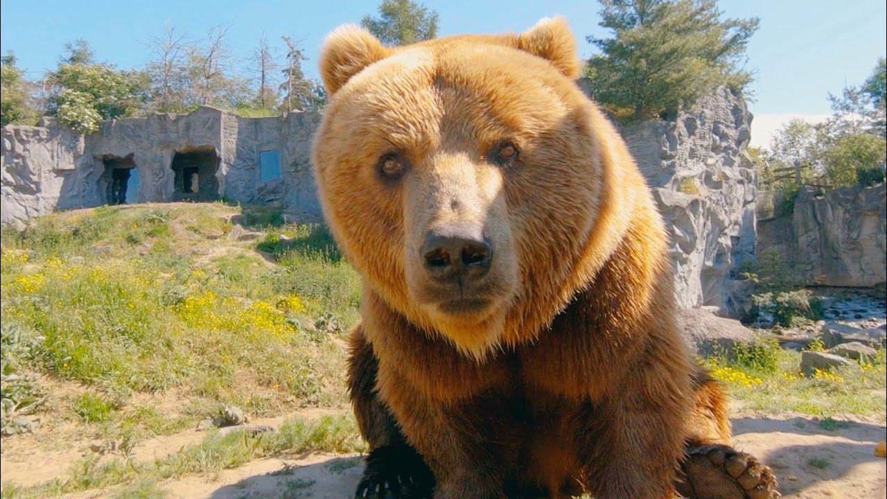 ZOOM Erlebniswelt Gelsenkirchen – Außergewöhnliche Entdeckungsreise durch den Zoo