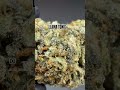 LLAMA TONIC CBD Flower - USA premium grown hemp flower #cbdflower #hempflower #cbd