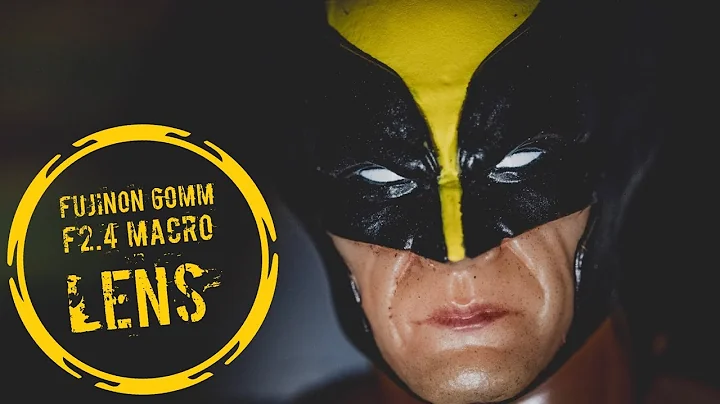 My Impressions Of The Fujinon 60mm f2.4 Macro Lens.