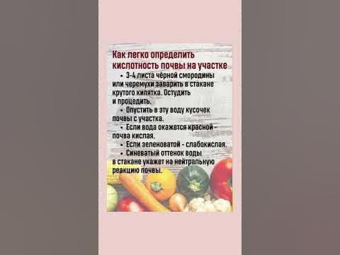 Определяем кислотность почвы #почва #полезнознать #полезныесоветы # ...