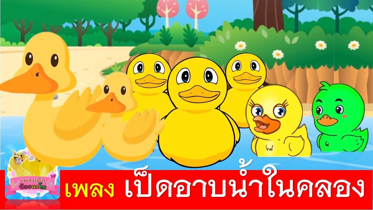 เพลง เป็ดอาบน้ำในคลอง เป็ด 4 เวอร์ชั่น | เป็ดเหลือง และ เป็ดหลากสี | เรียนรู้เรื่องสัตว์