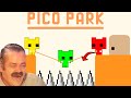 WHY THIS GAME IS SO FUNNY ? (PICO PARK)