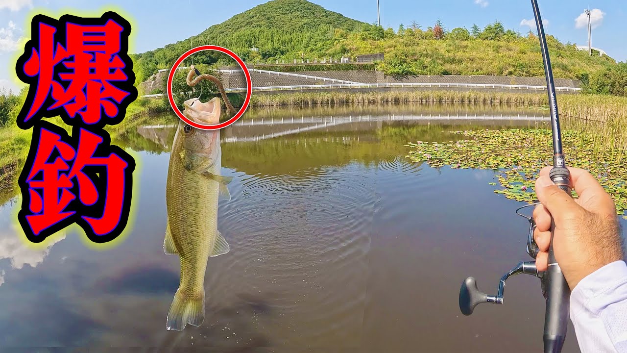 この秋、釣れまくってるワームについて語ります！