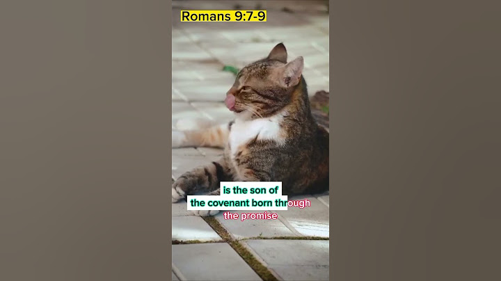 Not Ishmael, but Isaac...#shorts #covenant  #christianity #bible #jesus #isaac #ishmael