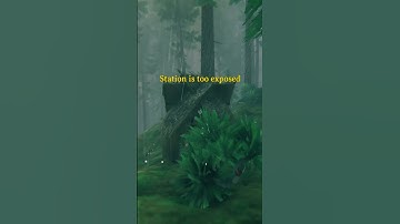 Valheim Please Fix This