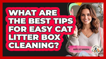 What Are The Best Tips For Easy Cat Litter Box Cleaning? - Happy Cat Handbook