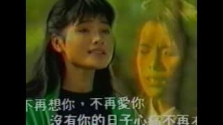 1988 MV xin tong bu zai you