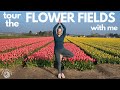 Flower field adventure 2021 | Yoga and Plant with Roos