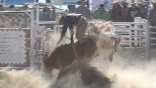 Long&#39;s Bull Fest