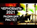 Чернобыль 2021. Новости