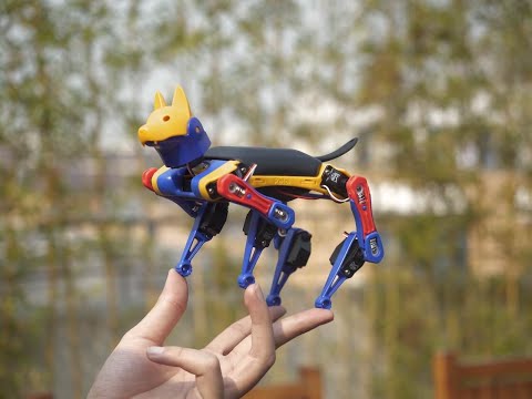 Meet Bittle X - Voice-controlled Robot Dog Companion in STEM and Robotics Learning