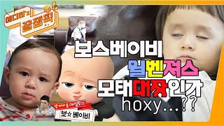 [에디터's 꿀잼Pick] 모태 대장DNA인가 #hoxy...? 보스베이비 #윌벤져스♡ ㅣ KBS방송