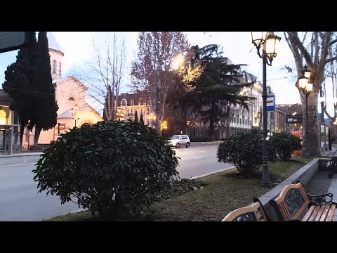 ერთი ჩვეულებრივი საღამო რუსთაველზე | თბილისი 31.01.2021