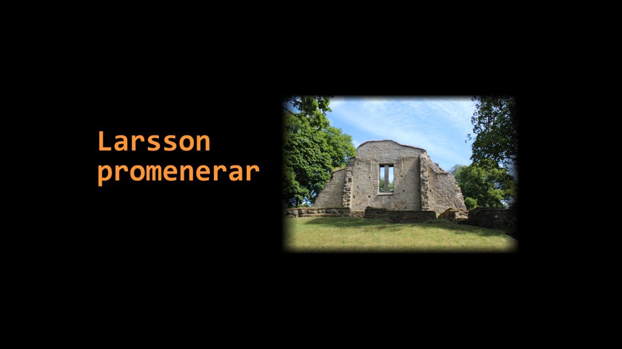 Larsson promenerar - Riseberga klosterruin (juli 2017)