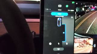 Tesla parallel auto park