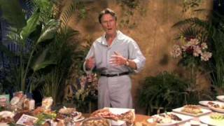 Power Foods Part 1 Of 4