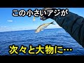 小アジを釣って落とすだけで大物に喰われまくる堤防釣りがこちらです。【泳がせ釣り】