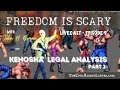Kenosha Incident Analysis 2.0 - Freedom is Scary - Ep. 9